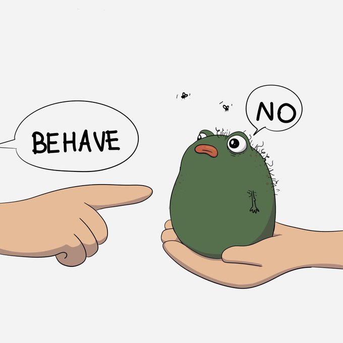 A hand points at Marcello and says BEHAVE. Marcello says NO.